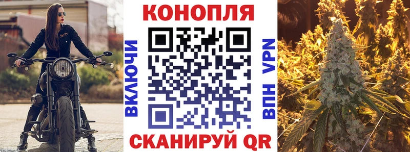 Бошки Шишки гибрид Бакал