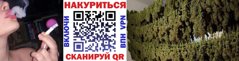 Купить где  Бакал  Шишки марихуана THC 21% 